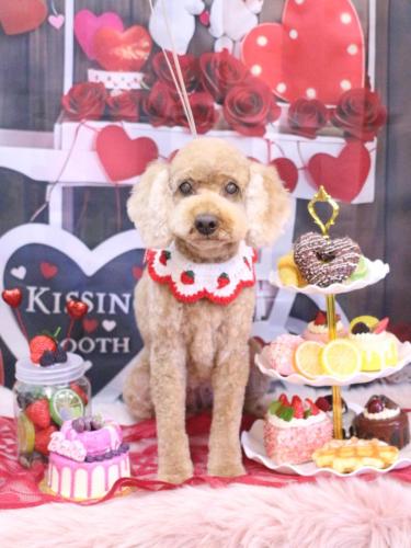 20250204マノアちゃん